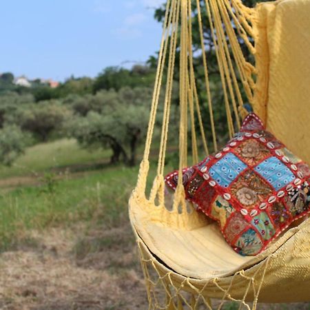 Villa Sarno Montesilvano Marina Dış mekan fotoğraf